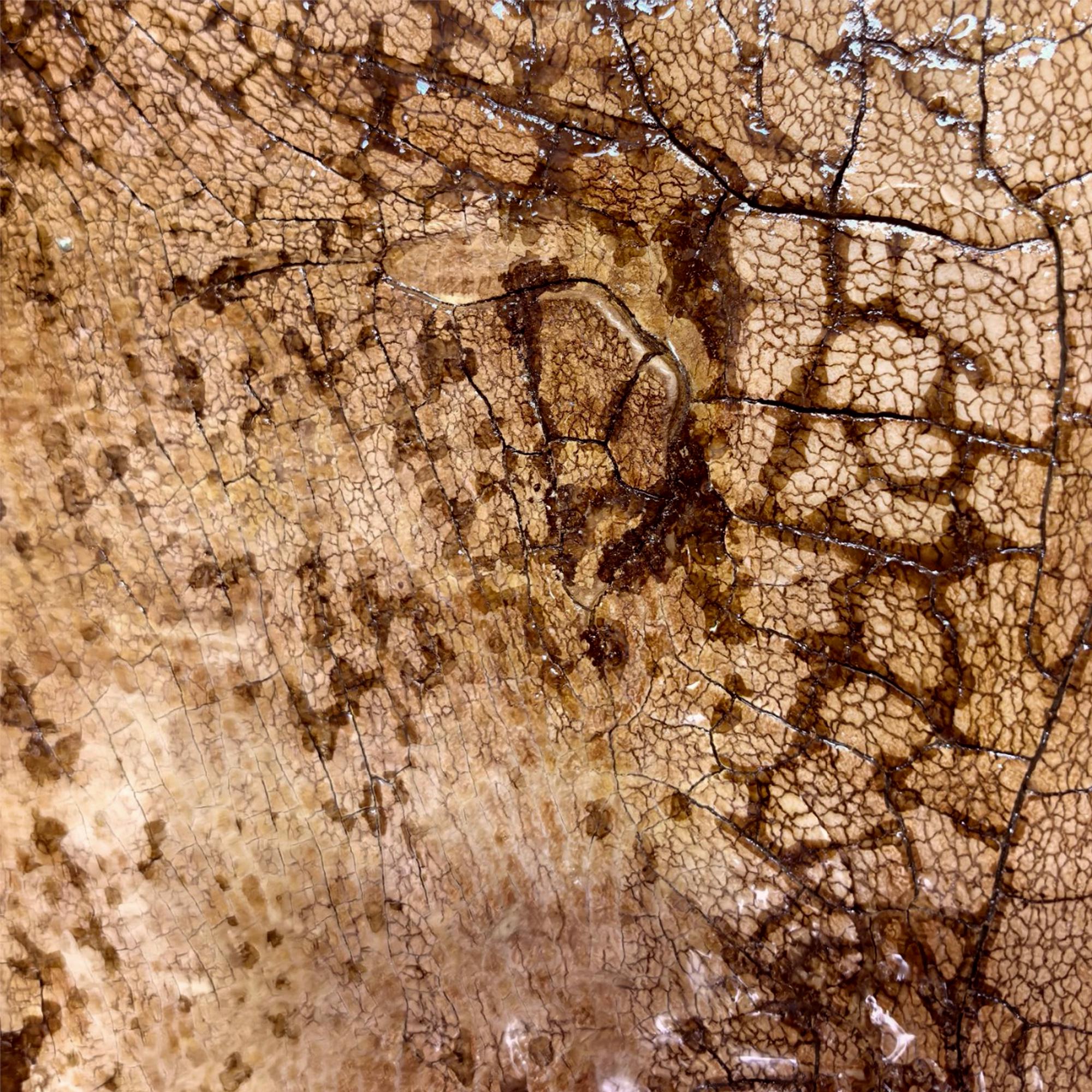 Elegant Earth-toned Abstract Oil Painting - View 2